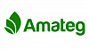 Amateg