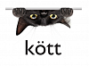 Kott